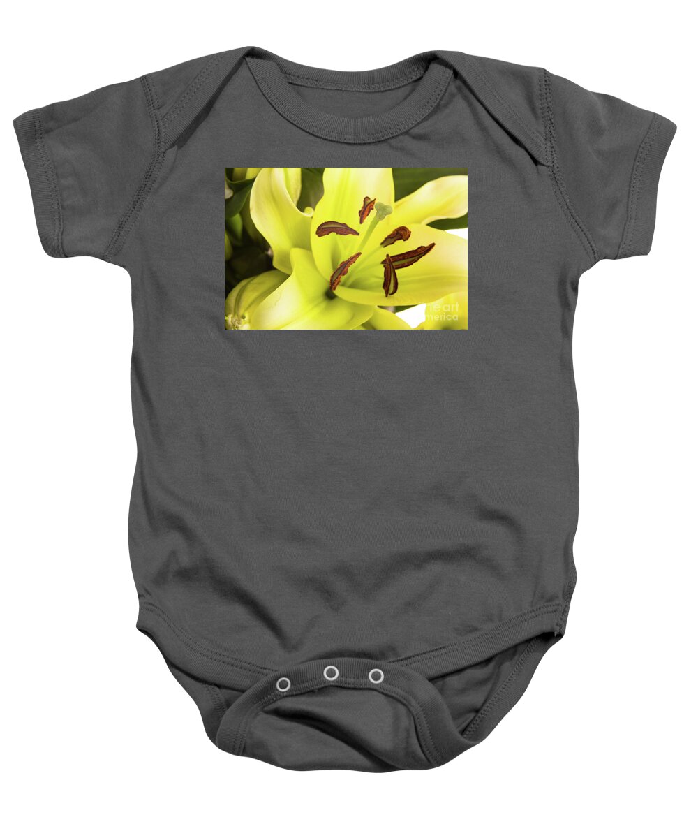 Alive Baby Onesie featuring the photograph Oriental Lily Flower by Raul Rodriguez