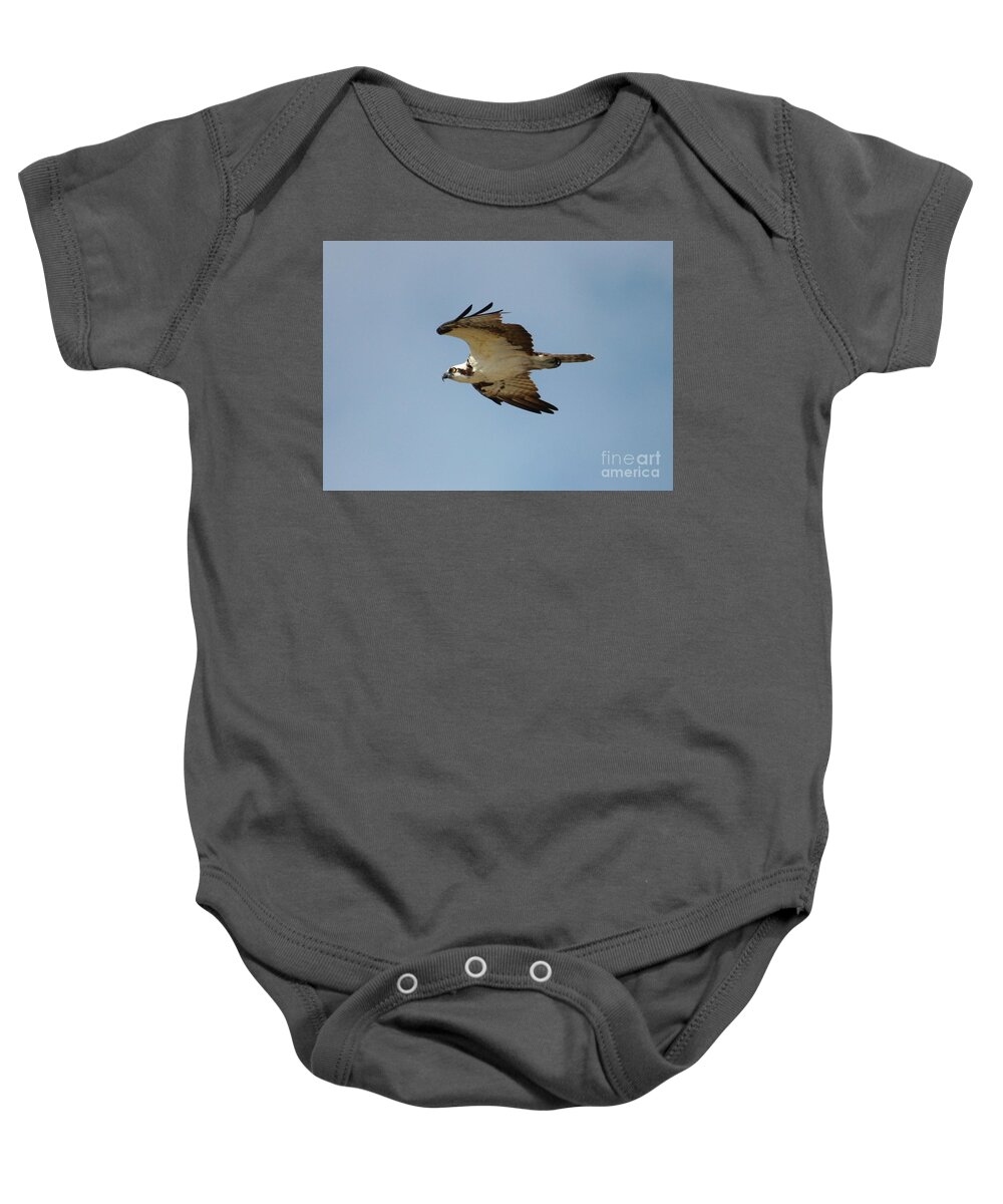 Osprey Baby Onesie featuring the photograph Osprey Against Blue Sky by Carol Groenen
