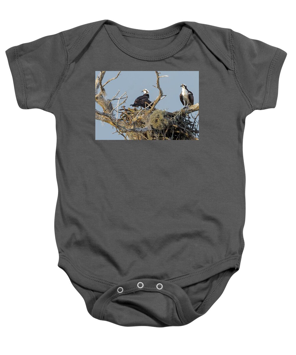Birds Baby Onesie featuring the photograph Osprey Family by Norman Peay