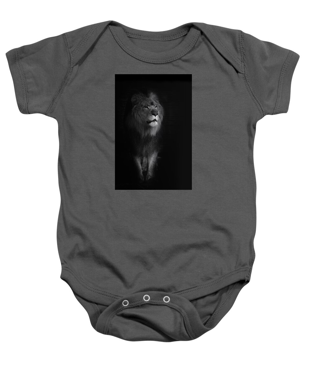 Lion Baby Onesie featuring the photograph Out of Darkness by Ken Barrett