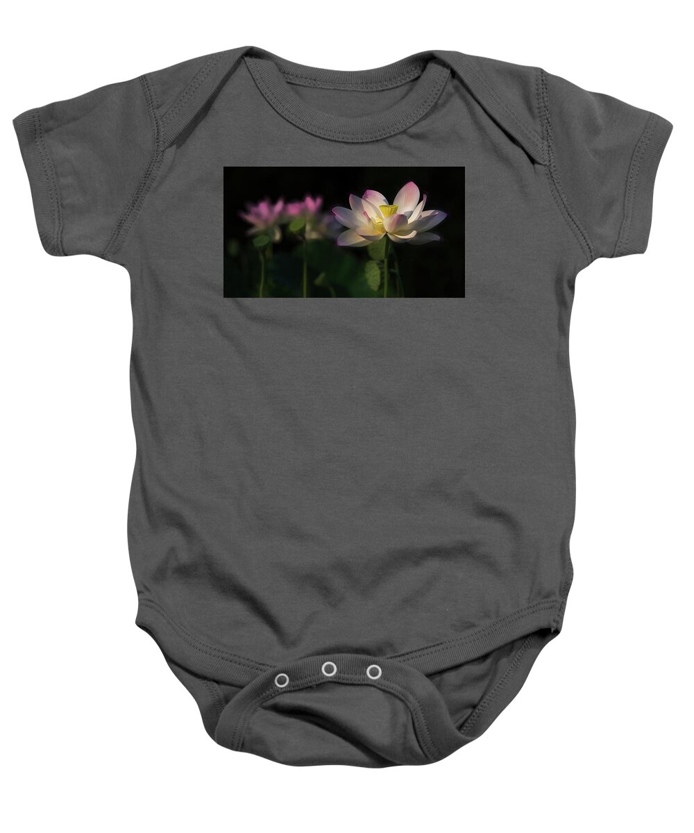 Photograph Baby Onesie featuring the photograph Out of the Mud by Cindy Lark Hartman
