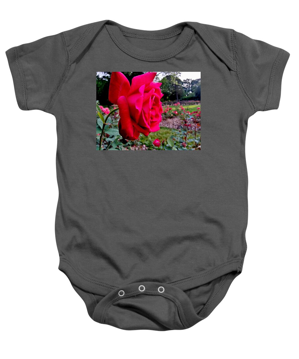 Rose Baby Onesie featuring the photograph Outstanding by Robert Knight