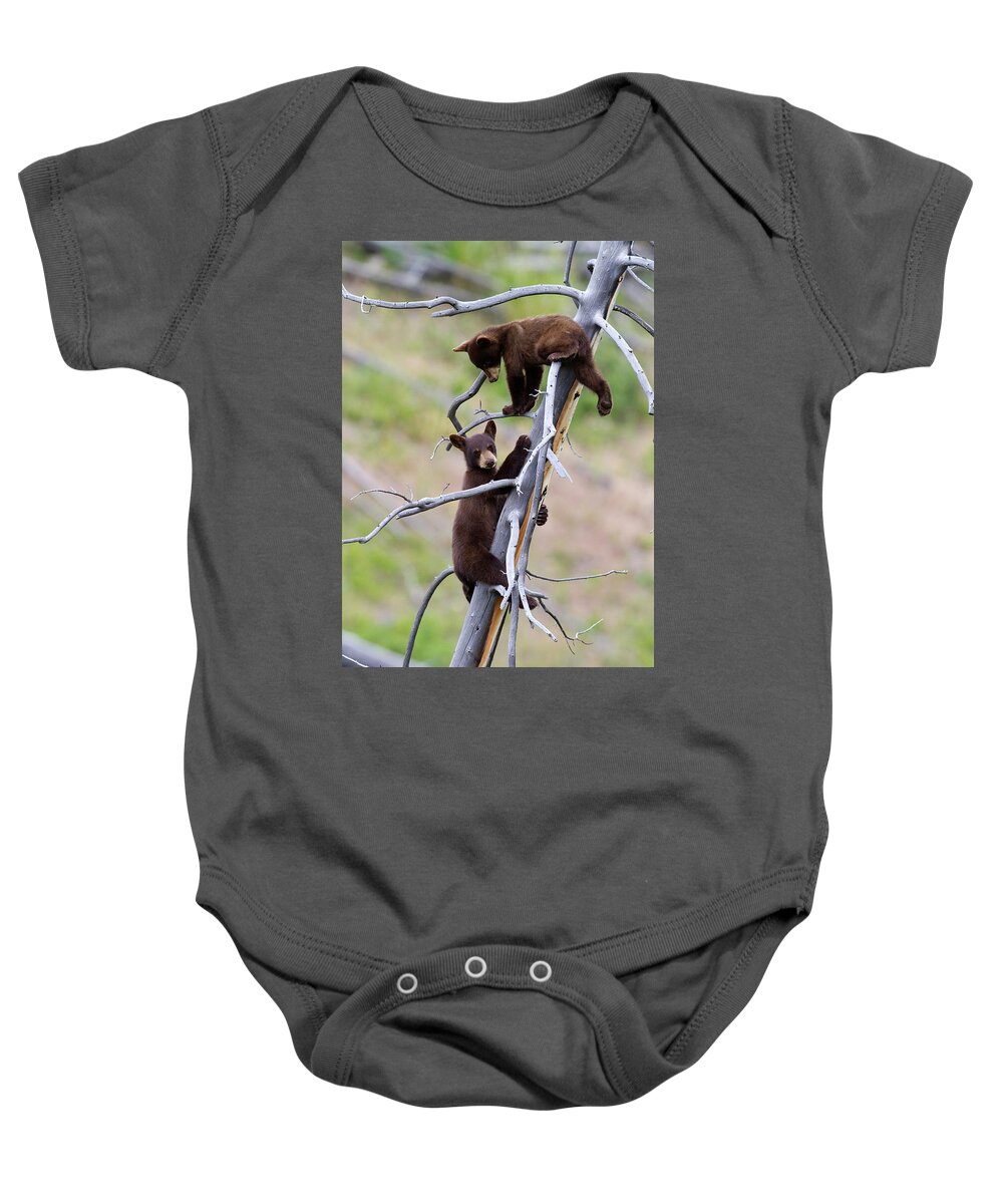 Bear Baby Onesie featuring the photograph Pair of Bear Cubs in a Tree by Mark Miller