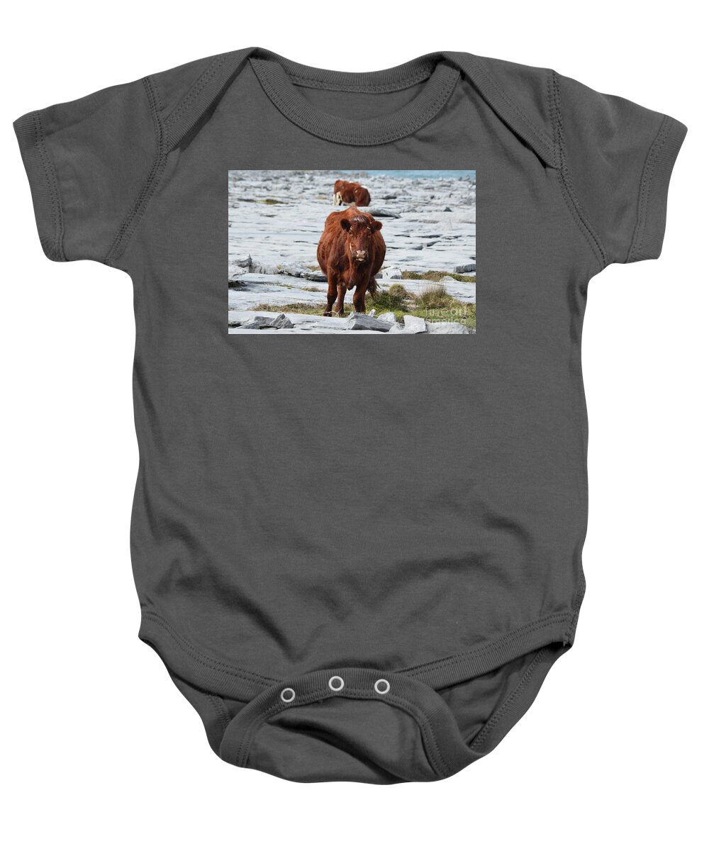 Cow Baby Onesie featuring the photograph Pair of Cows Grazing on the Burren in Ireland by DejaVu Designs