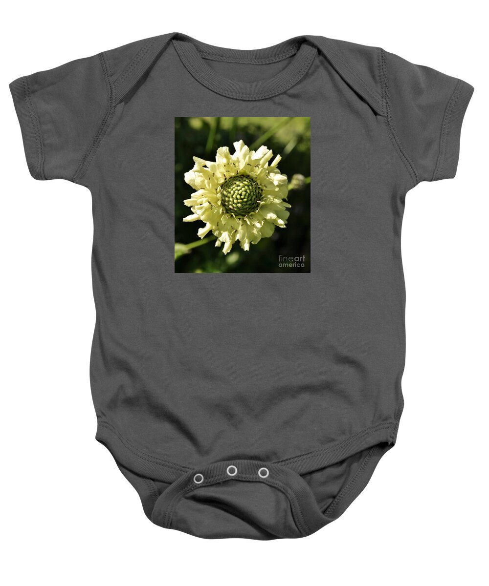 Giant Scabious Baby Onesie featuring the photograph Pale Beauty by Richard Brookes