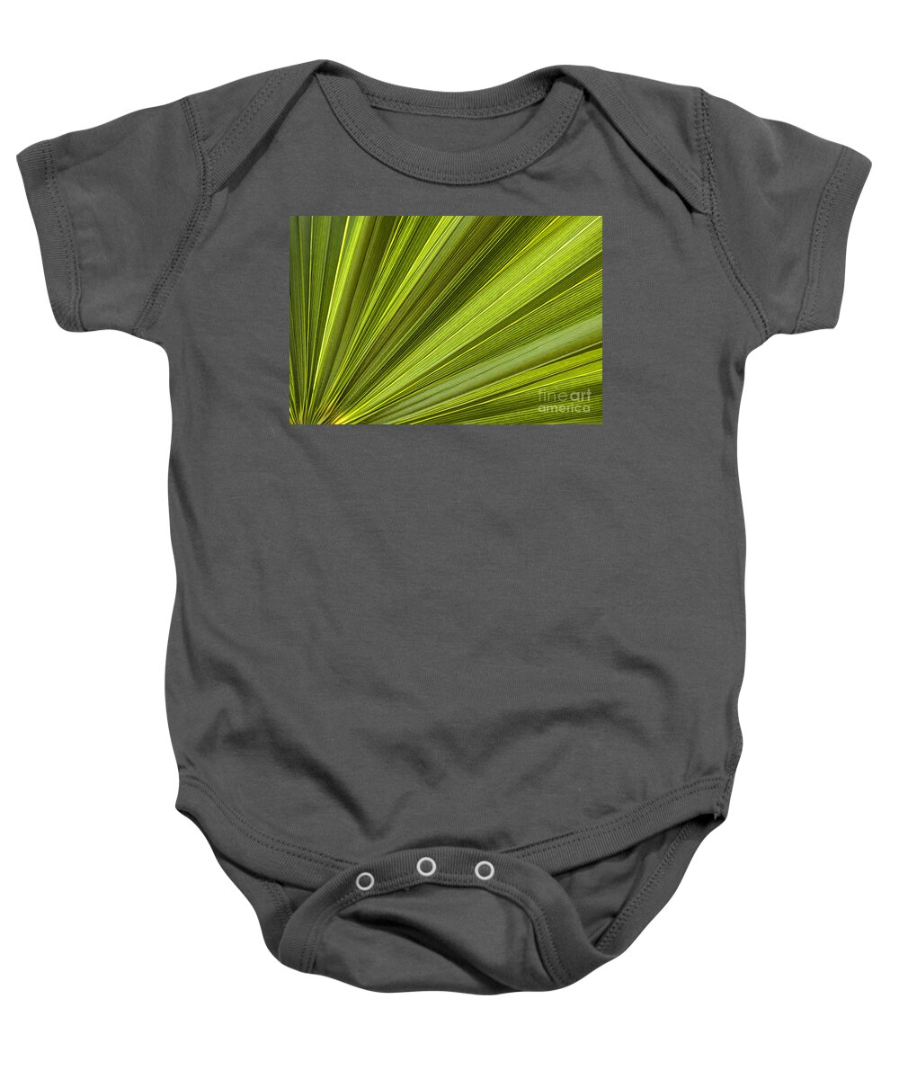 Leaf Baby Onesie featuring the photograph Palm leaf abstract by Elena Elisseeva