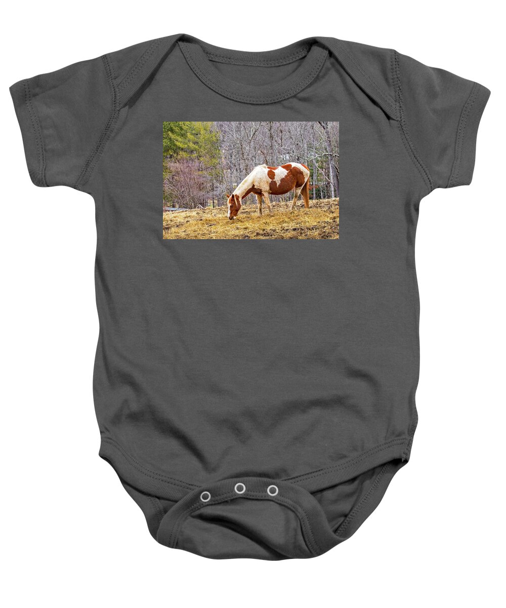 Horse Baby Onesie featuring the photograph Pinto Grazing in Winter by Ira Marcus