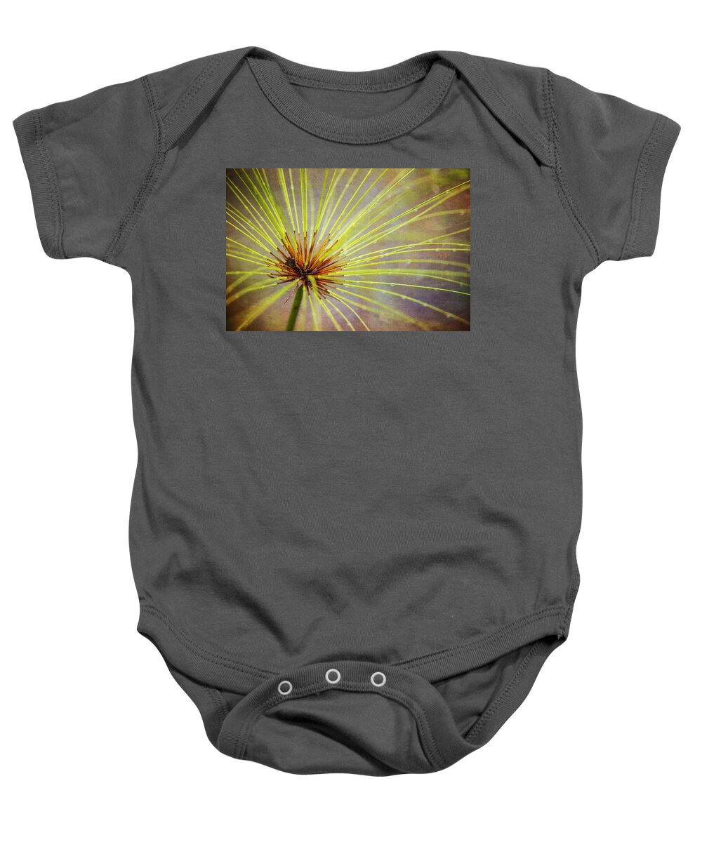 Costa Rica Baby Onesie featuring the photograph Papyrus by Kathy Adams Clark