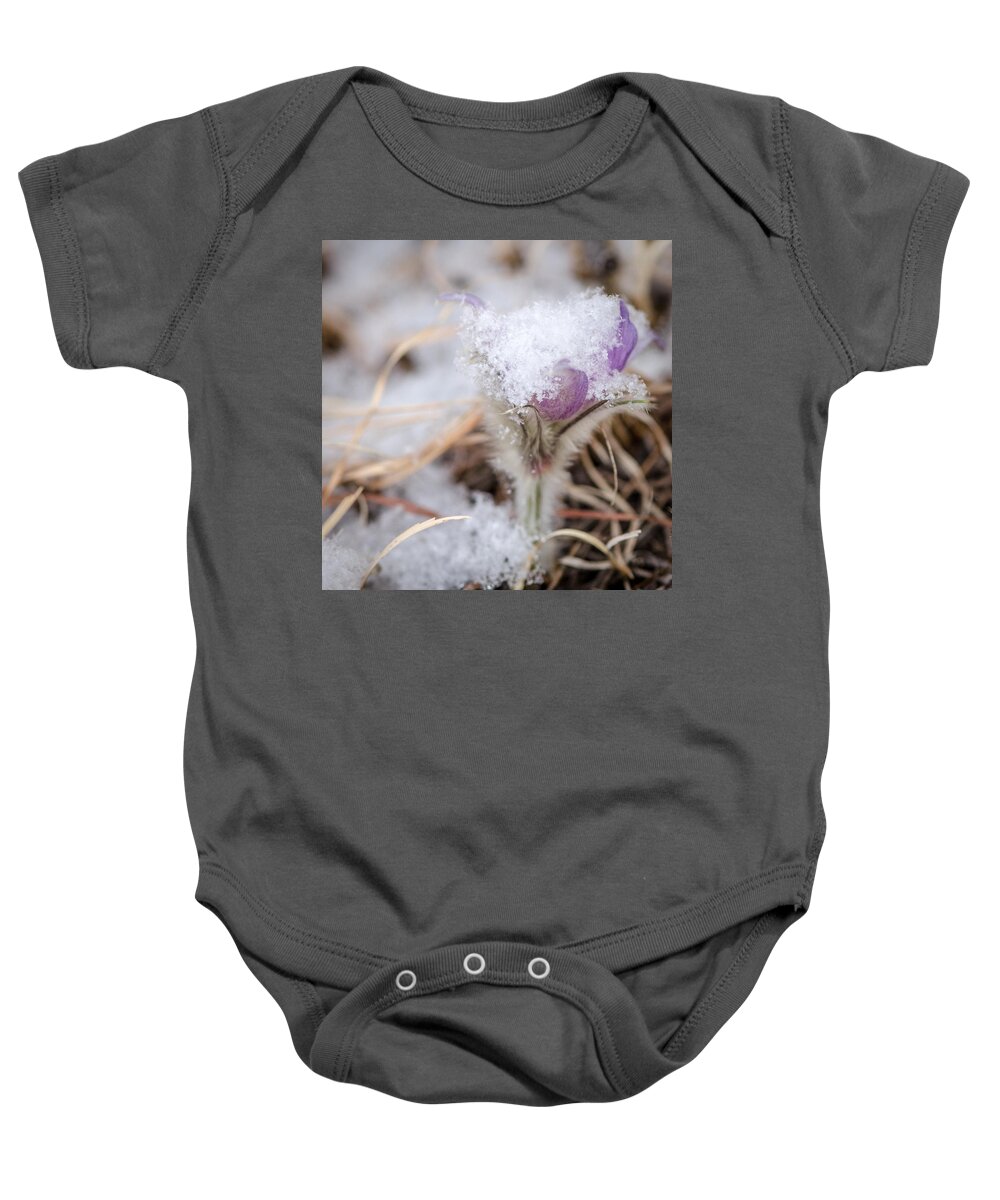 Dakota Baby Onesie featuring the photograph Pasqueflower in the Snow by Greni Graph