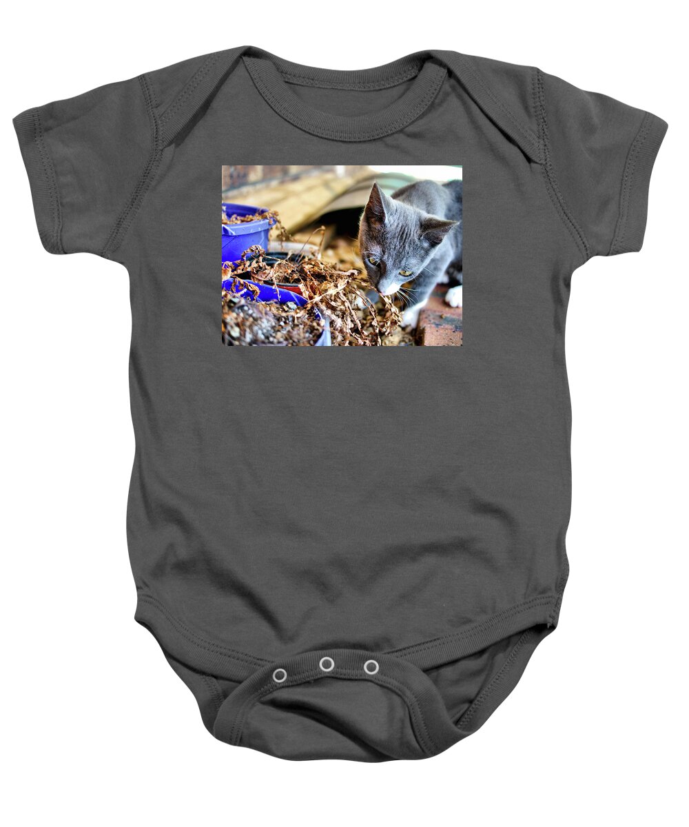 Animals Baby Onesie featuring the photograph Patches Explores 4 by Michael Blaine