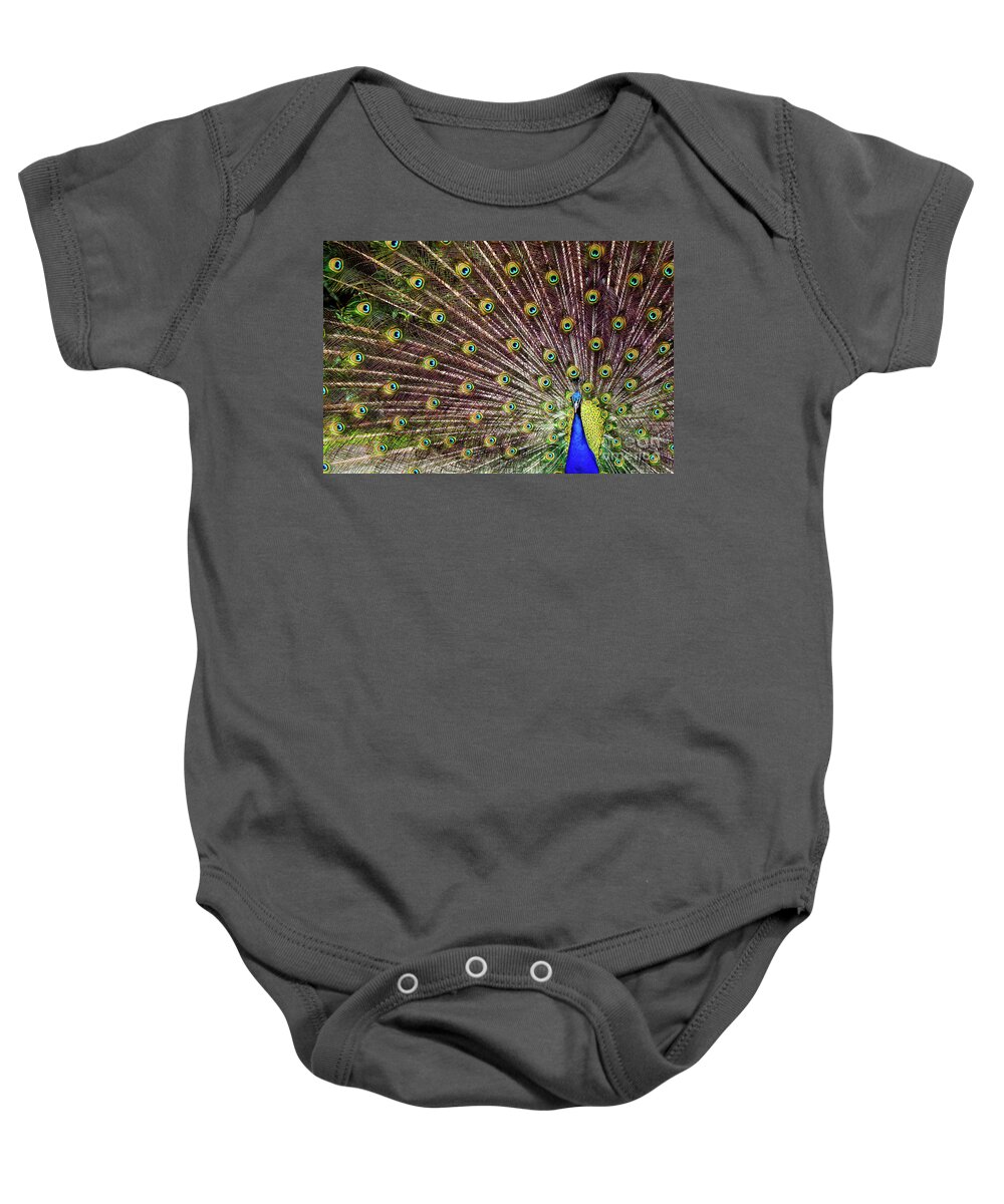 00554023 Baby Onesie featuring the photograph Peacock In Full Display by Marcel van Kammen