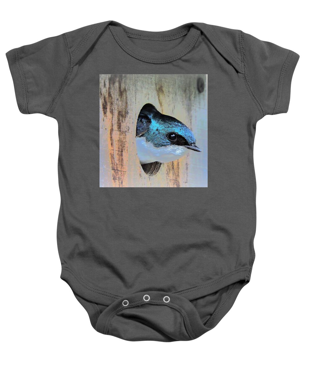 Tree Swallow Baby Onesie featuring the photograph Peek-A-Blue by Tami Quigley