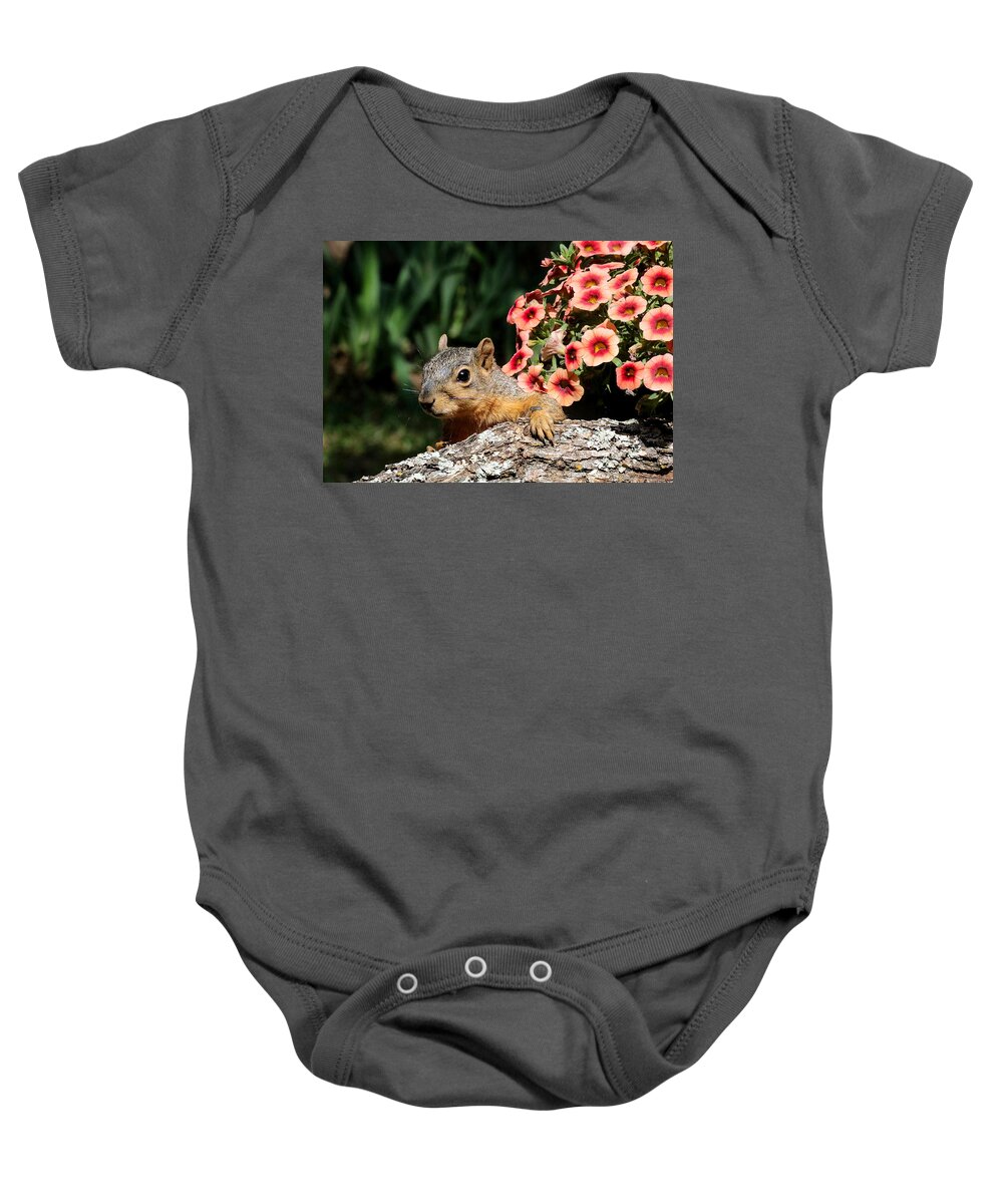 Nature Baby Onesie featuring the photograph Peek-a-Boo Squirrel by Sheila Brown