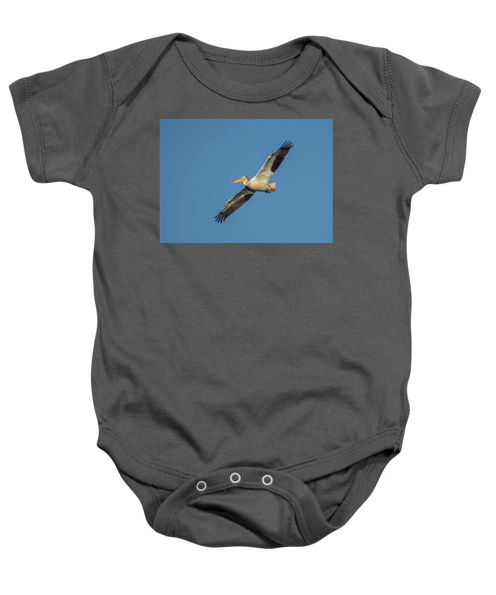 Pelican Baby Onesie featuring the photograph Pelican by Rick Mosher