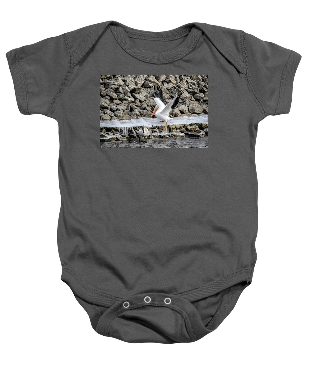 Pelican Baby Onesie featuring the photograph Pelican Slip by Ray Congrove