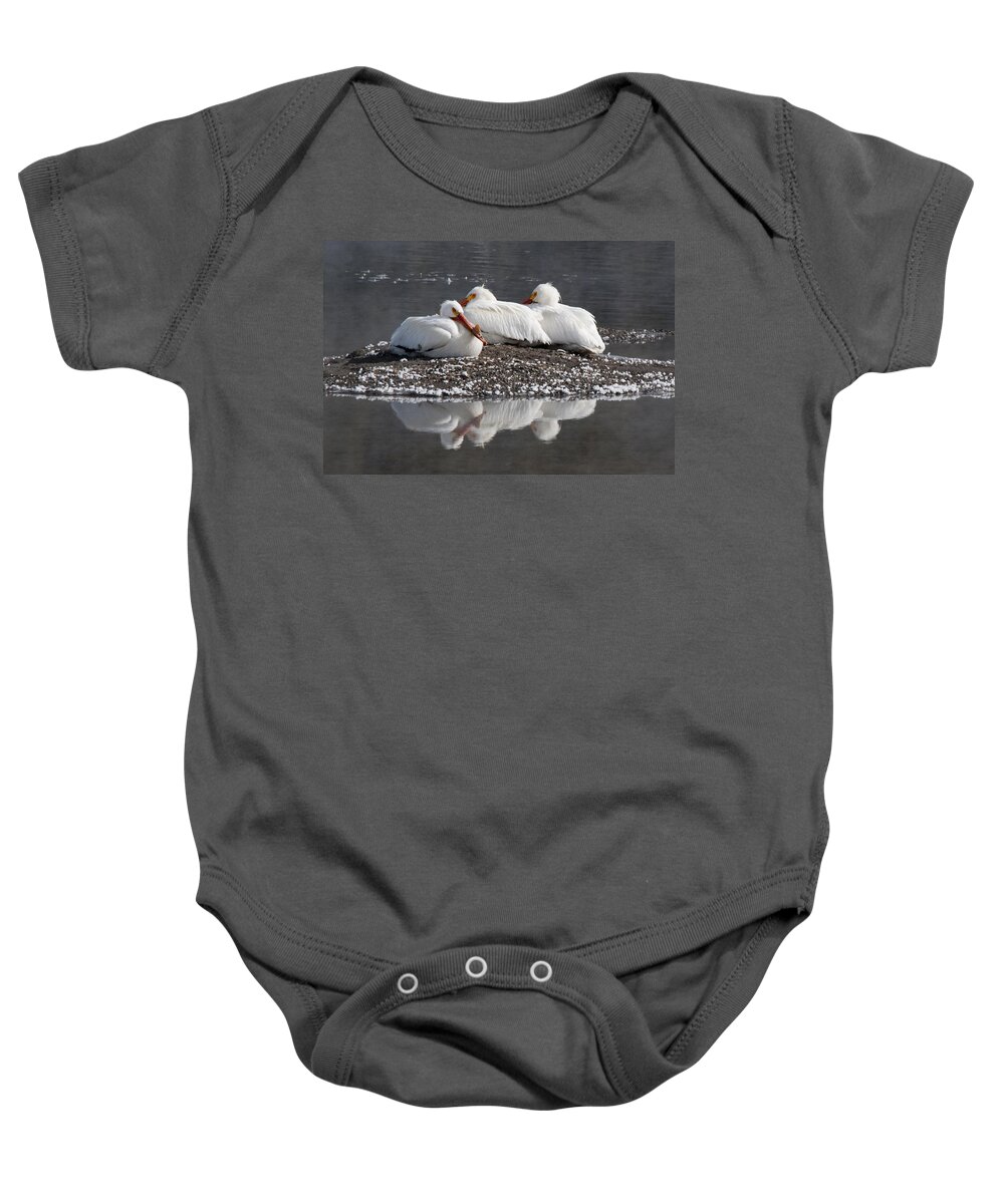 Pelicans Baby Onesie featuring the photograph Pelicans by Gary Beeler