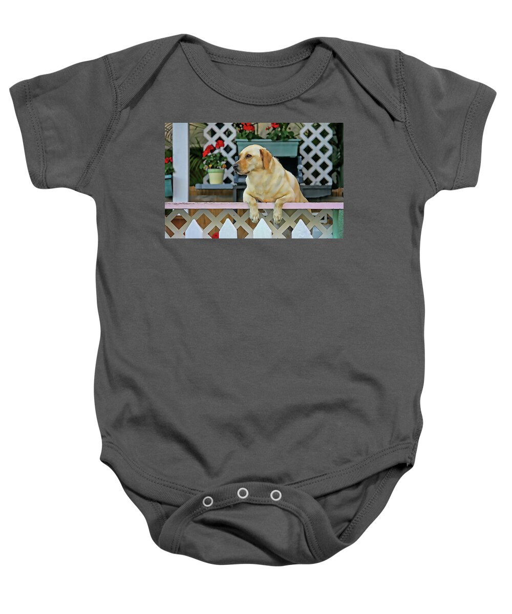 Labrador Retriever Baby Onesie featuring the photograph People Watching by HH Photography of Florida