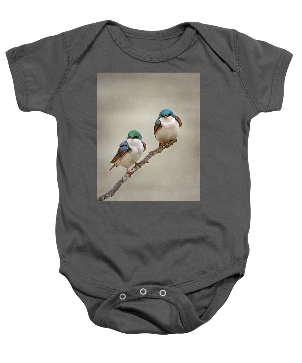Tree Swallow Baby Onesie featuring the photograph Perching Tree Swallows by Susan Rissi Tregoning