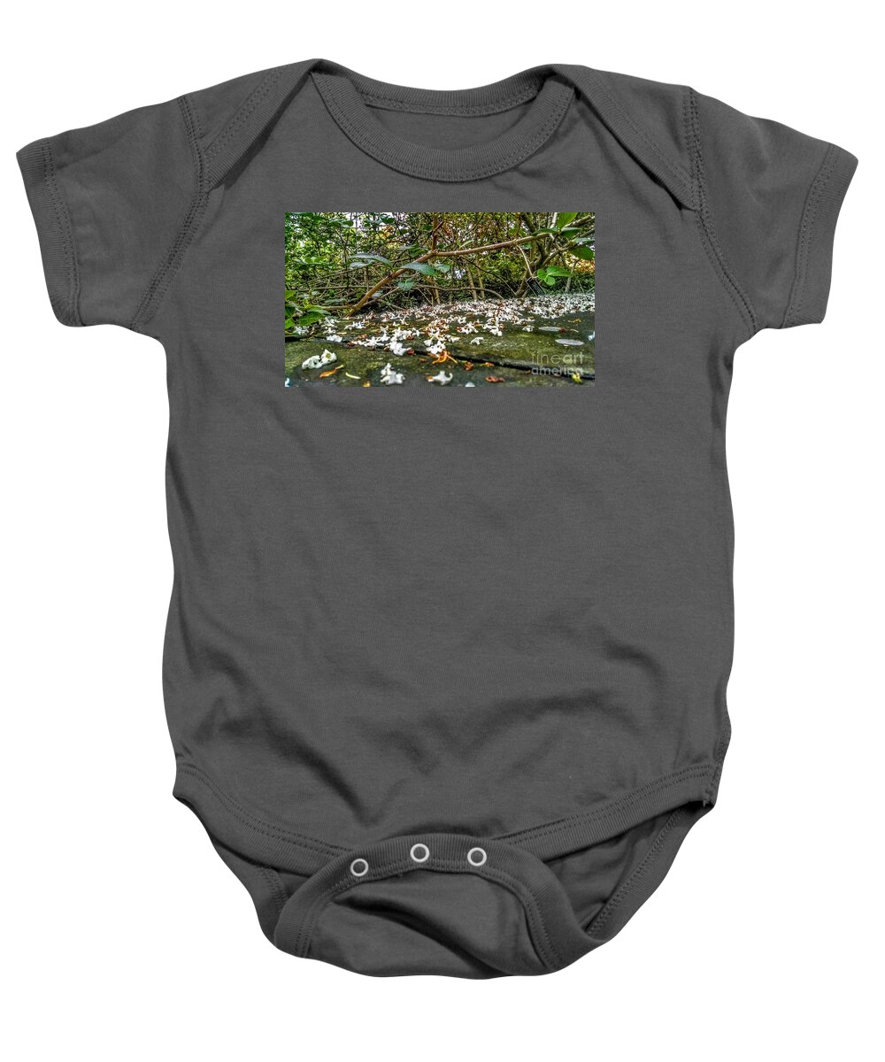 Flowers Baby Onesie featuring the photograph Petal and Stone by Christopher Lotito