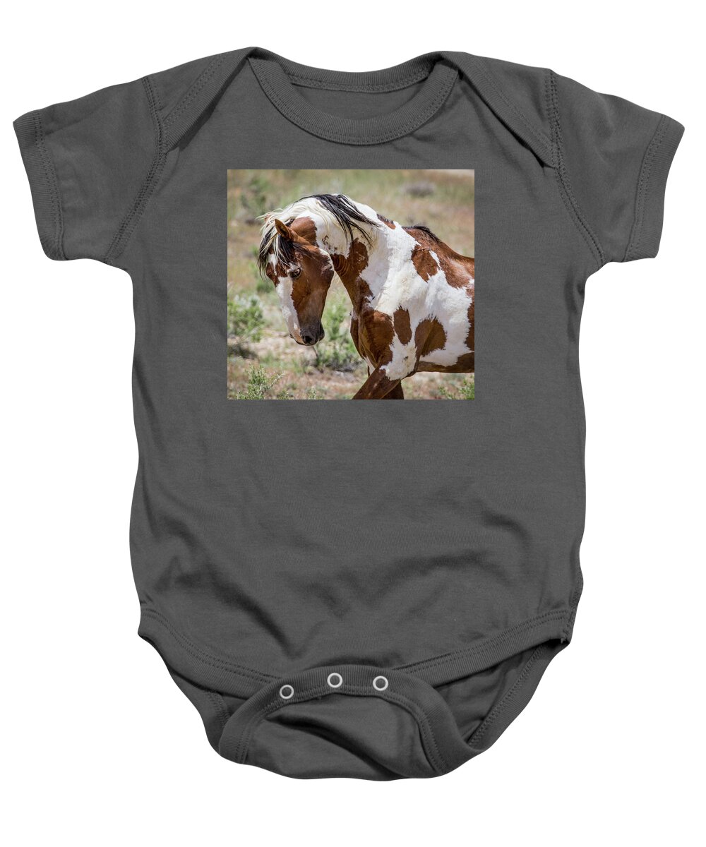 Picasso Baby Onesie featuring the photograph Picasso Mustang Stallion of Sand Wash Basin by Dawn Key
