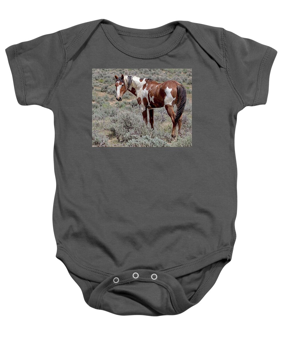 Picasso Baby Onesie featuring the photograph Picasso of Sand Wash Basin #2 by Mindy Musick King