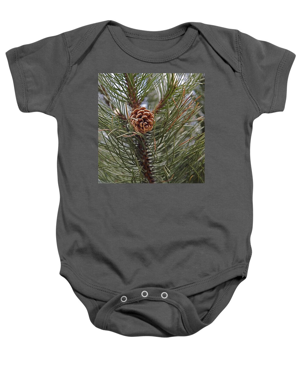  Baby Onesie featuring the photograph Pine cone by Christopher Rowlands