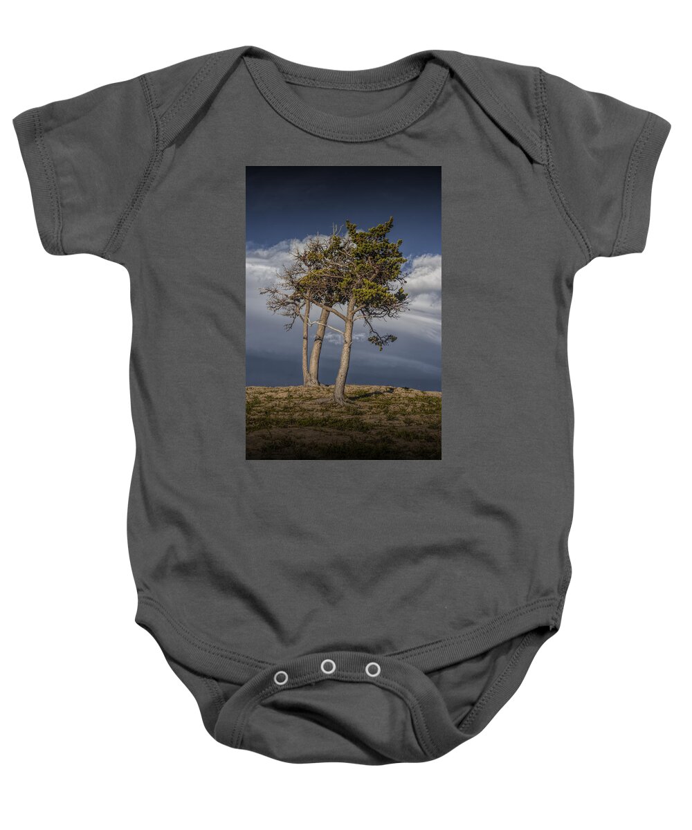 Art Baby Onesie featuring the photograph Pine Trees on Glacier Park Rocky Ridge by Randall Nyhof