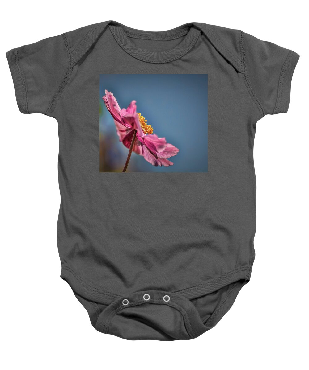 Pink And Yellow Profile Baby Onesie featuring the photograph Pink And Yellow Profile #h8 by Leif Sohlman