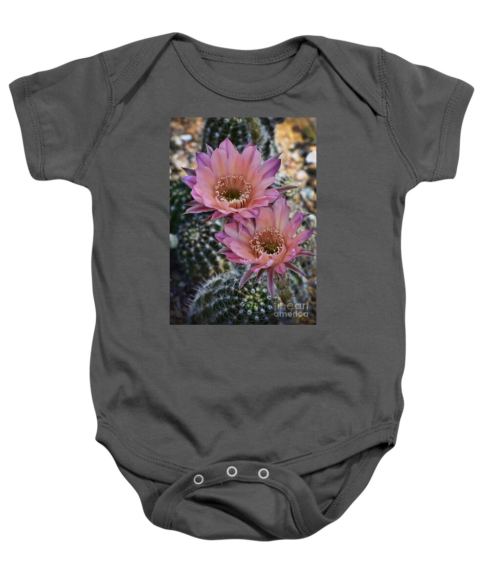 Pink Easter Lilly Cactus Baby Onesie featuring the photograph Pink Easter Lilly Cactus by Saija Lehtonen
