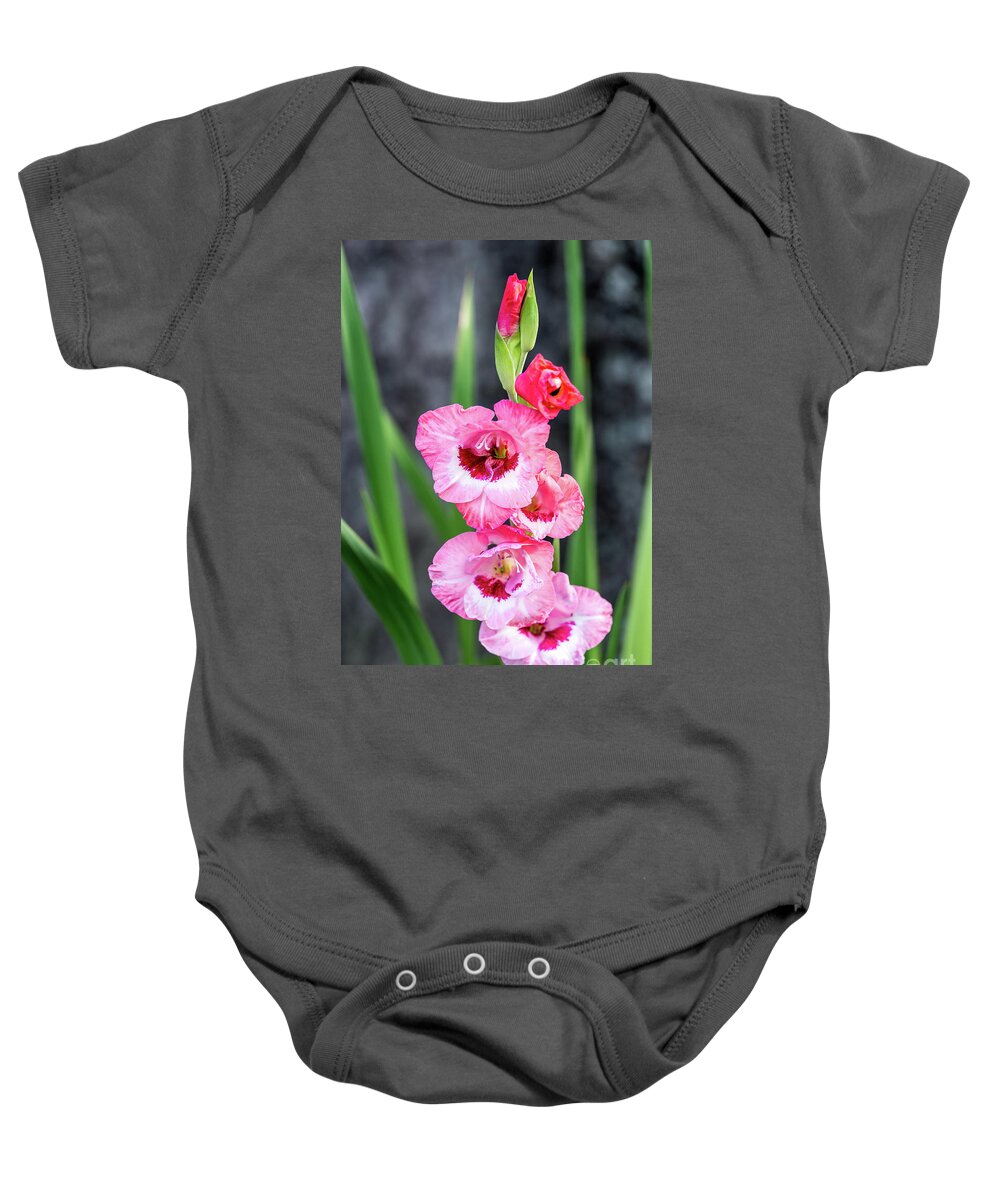 Gladiolus Baby Onesie featuring the photograph Pink Gladiolus by Charles Hite