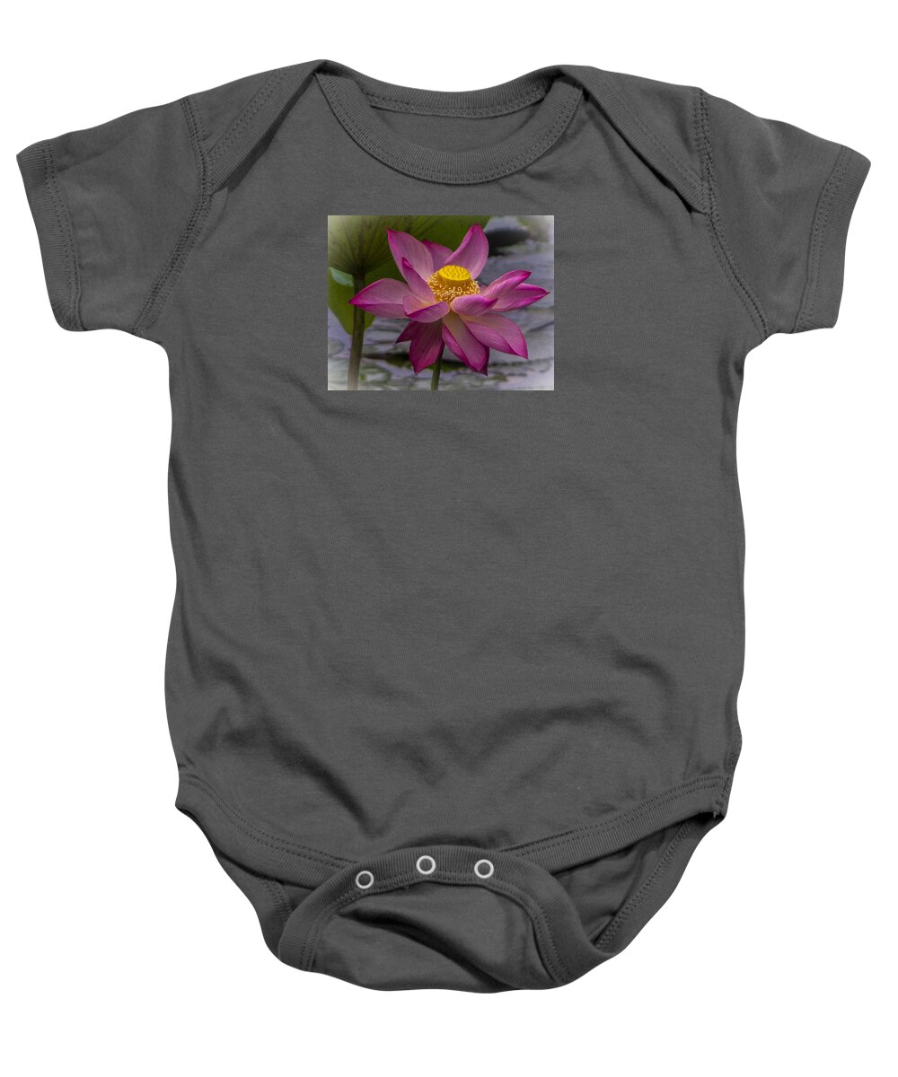 Botanical Baby Onesie featuring the photograph Pink Lotus in Vietnam by Venetia Featherstone-Witty