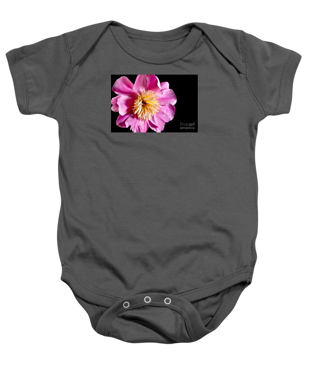 Flowers Baby Onesie featuring the photograph Pink Petals by Robin Lynne Schwind