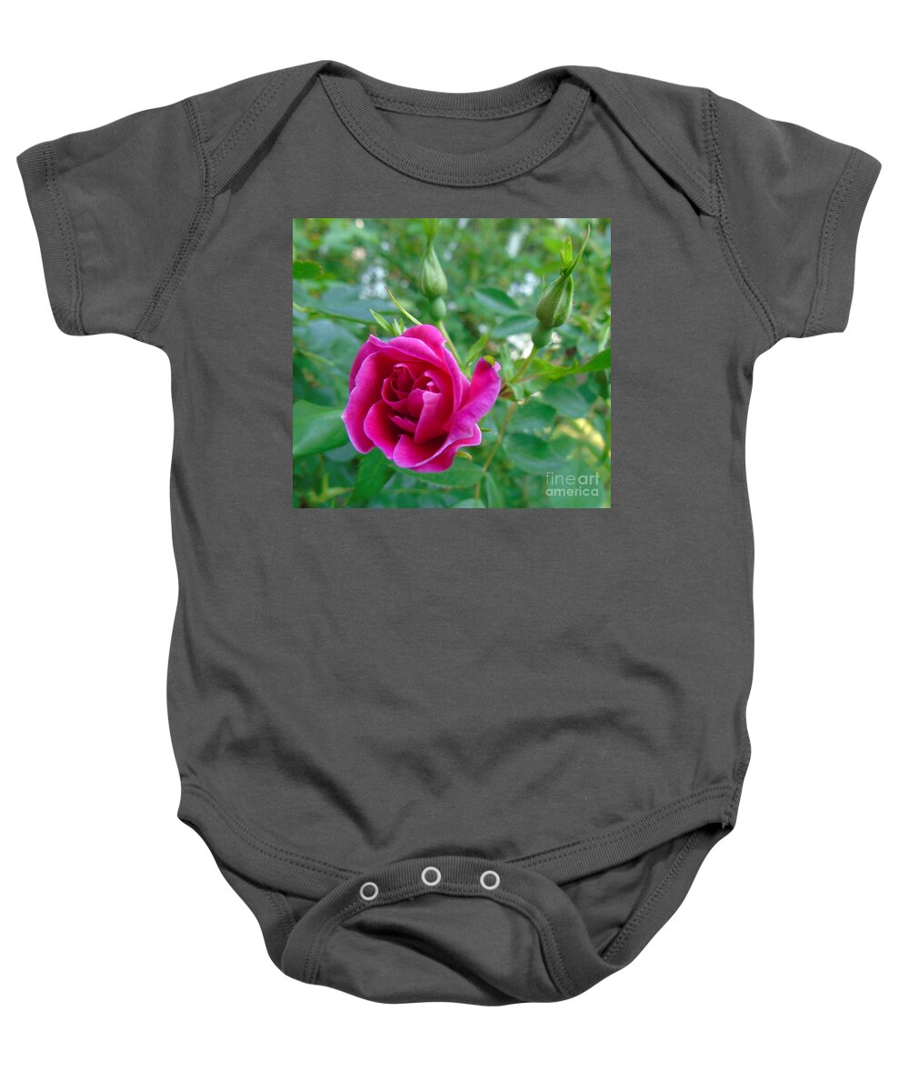 William Baffin Rose Baby Onesie featuring the photograph Pink Rose and Buds by Susan Lafleur