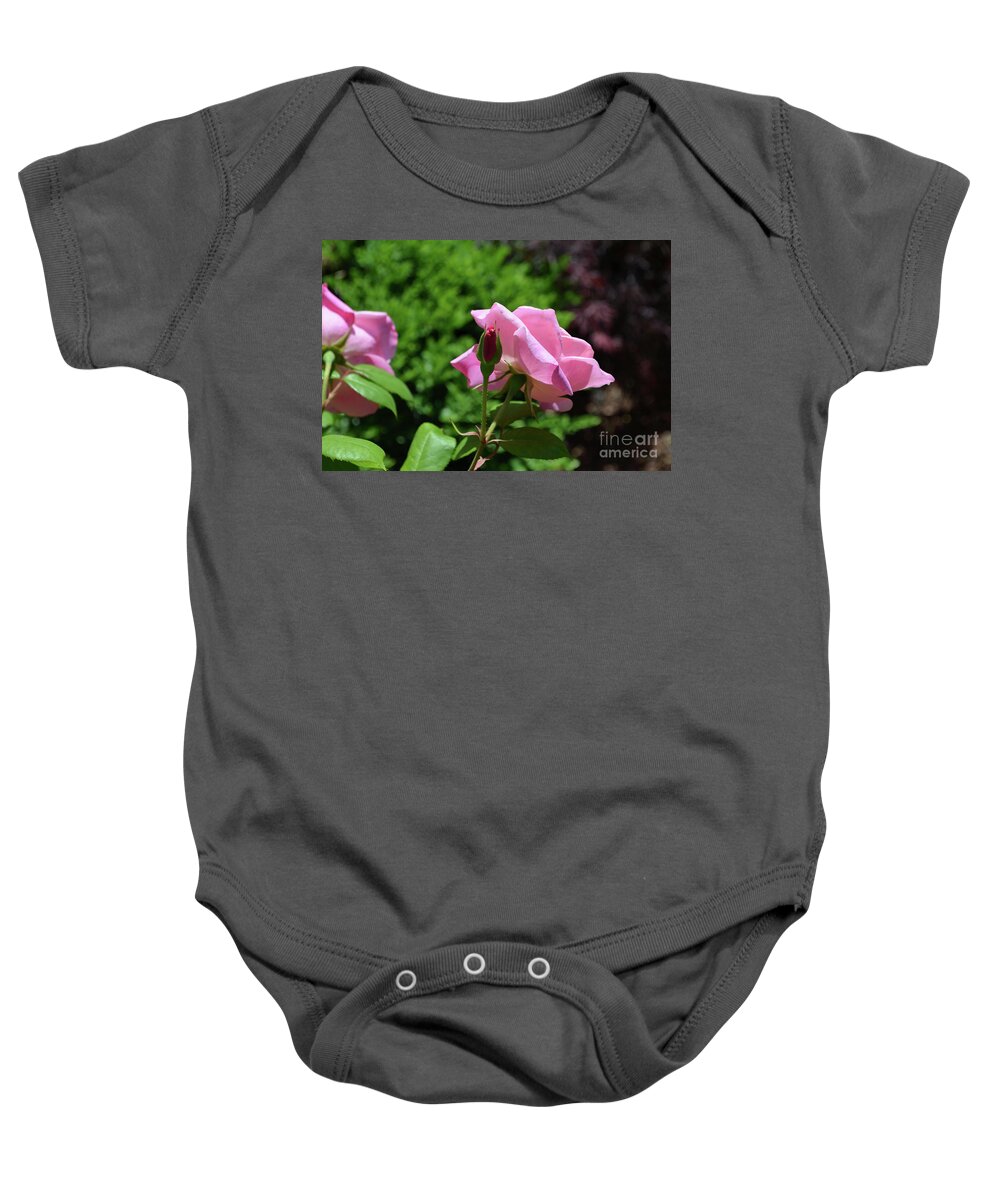 Rose Baby Onesie featuring the photograph Pink Roses Blooming in a Summer Rose Garden by DejaVu Designs