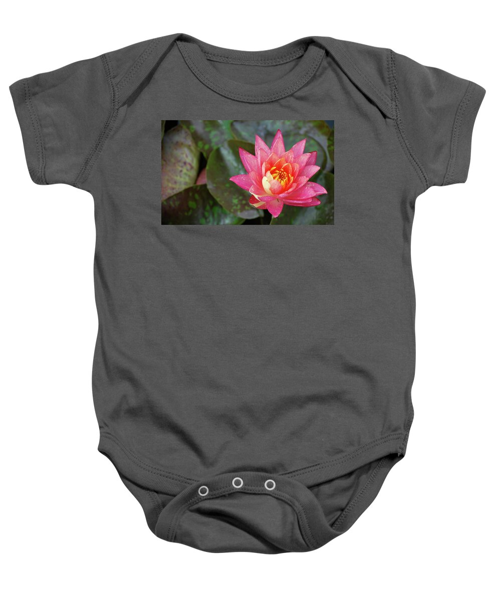 Water Lily Baby Onesie featuring the photograph Pink Water Lily Beauty by Amee Cave