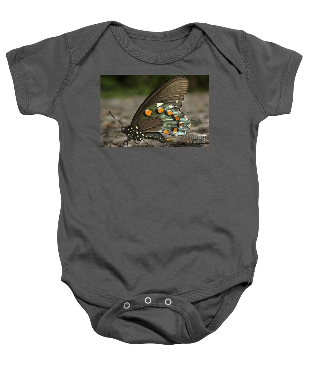 Butterfly Baby Onesie featuring the photograph Pipevine Swallowtail by Mike Eingle