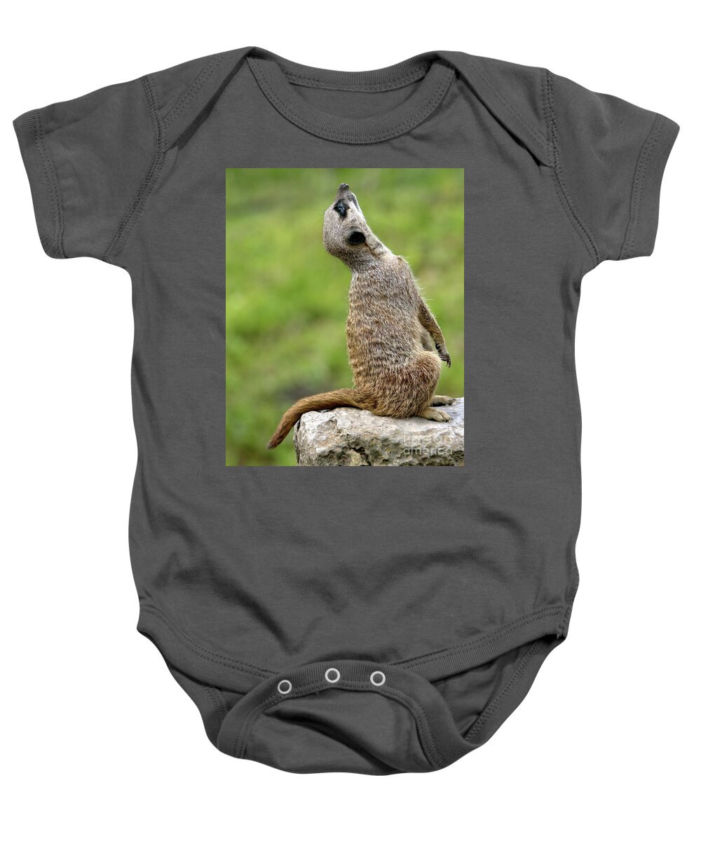 Animal Baby Onesie featuring the photograph Plane spotting by Baggieoldboy