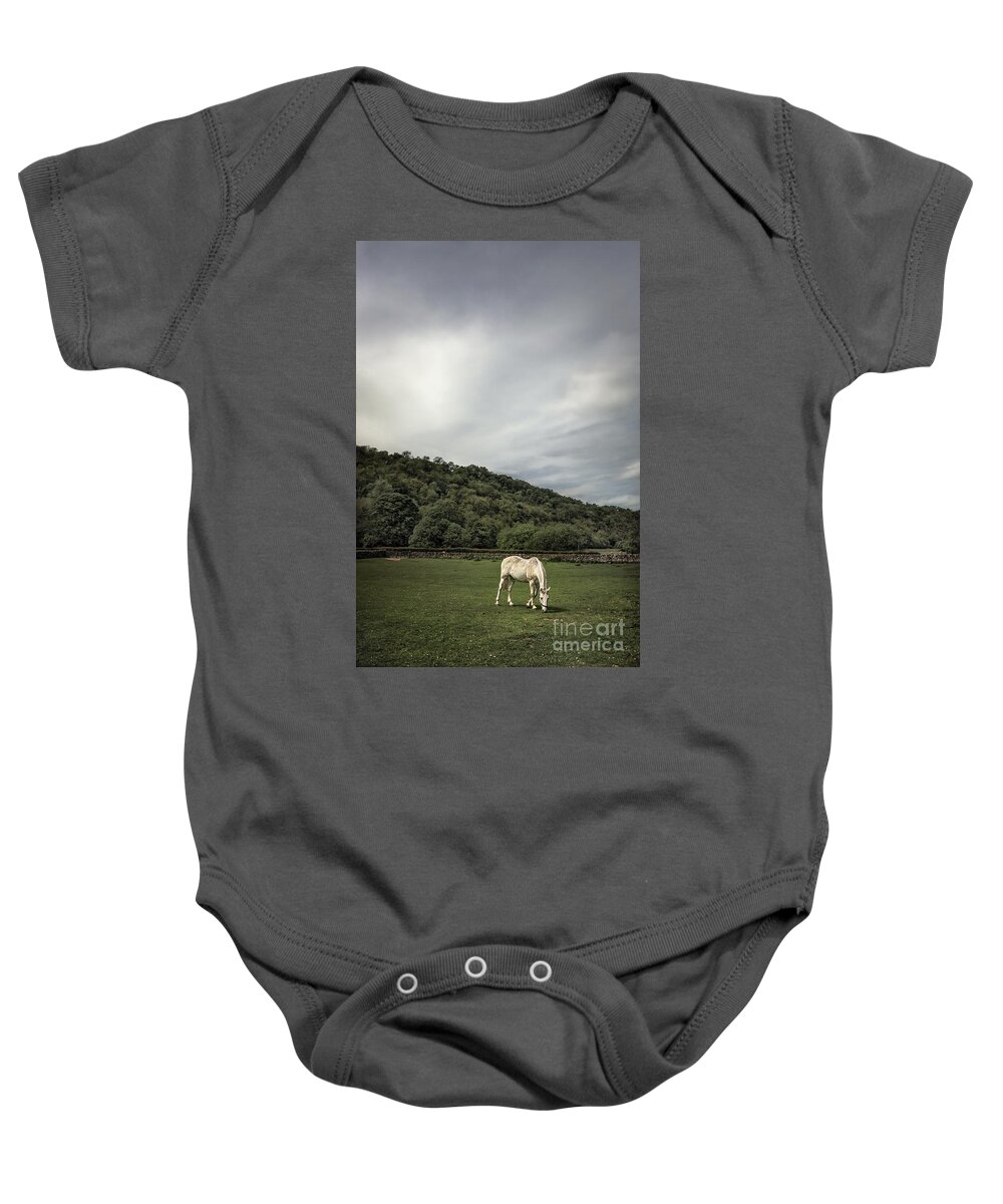 Animal Baby Onesie featuring the photograph Pleasant Valley Sunday by Evelina Kremsdorf