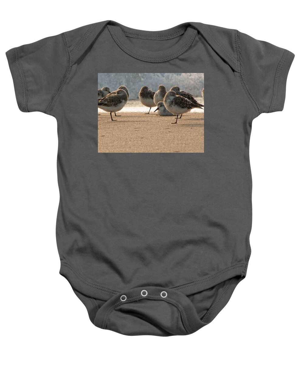 Plover Baby Onesie featuring the photograph Plovers in the morning sunlight by Christopher Mercer