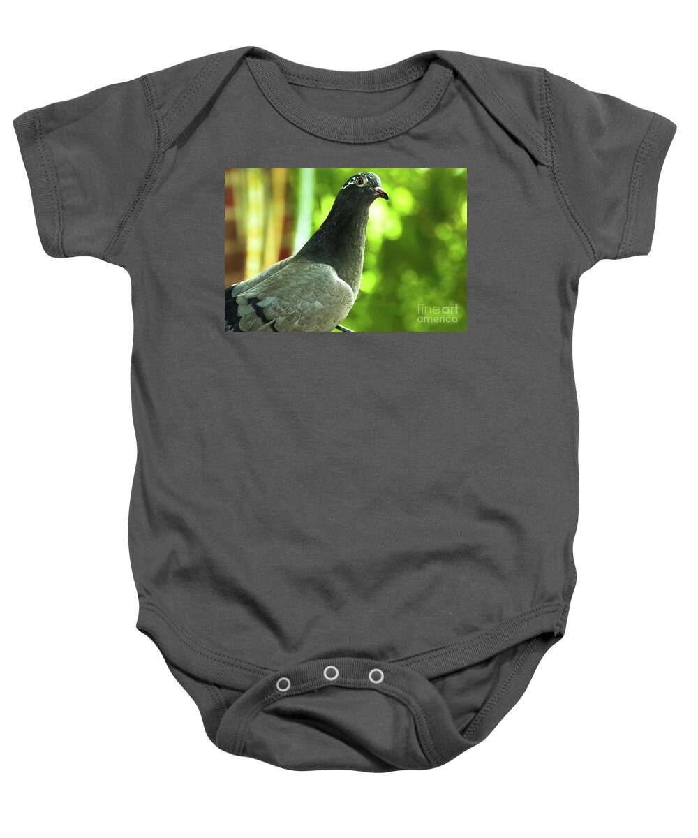 Pigeon Baby Onesie featuring the photograph Portrait of a Pigeon by Amy Sorvillo