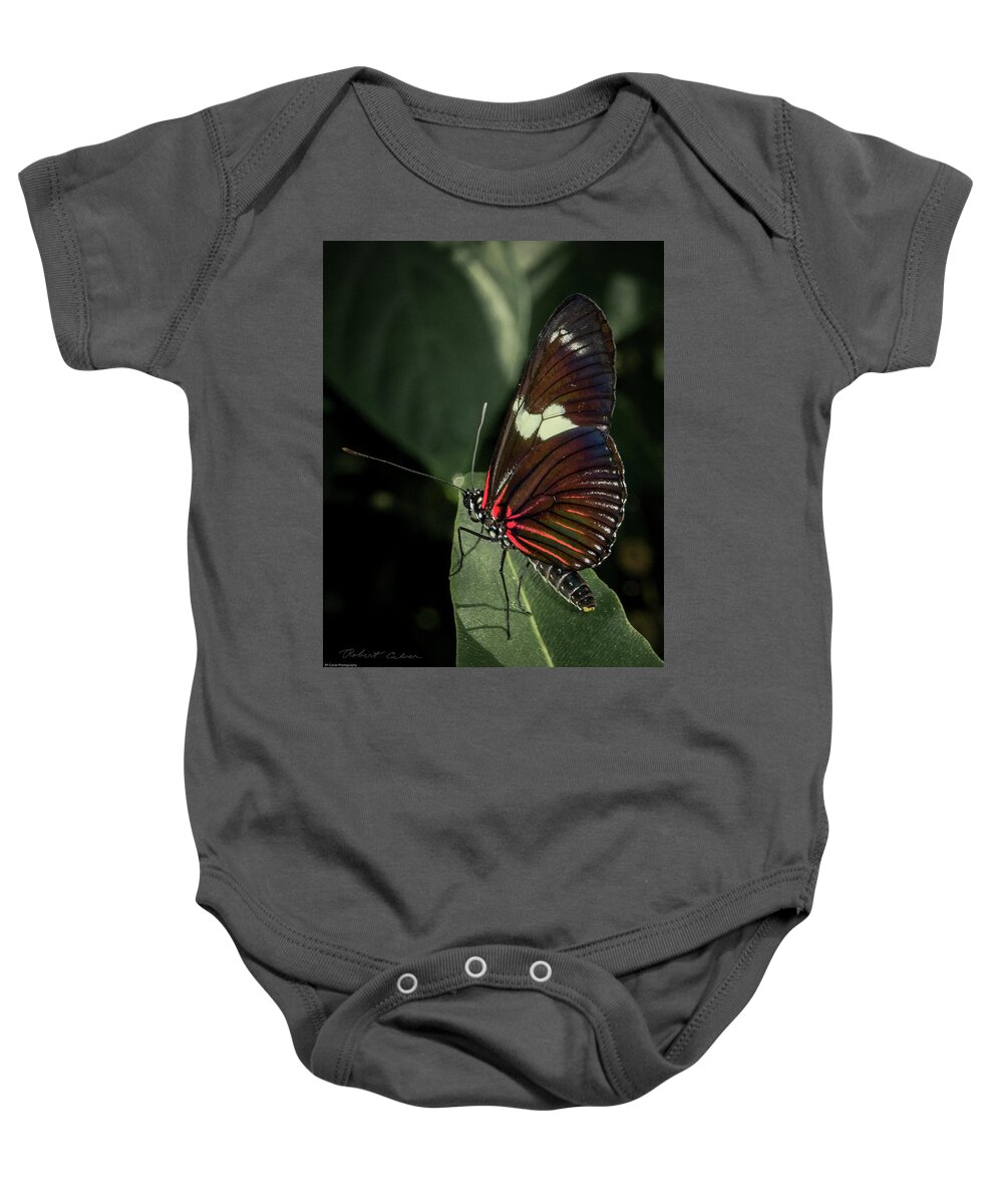 Butterfly Baby Onesie featuring the photograph Postman by Robert Culver