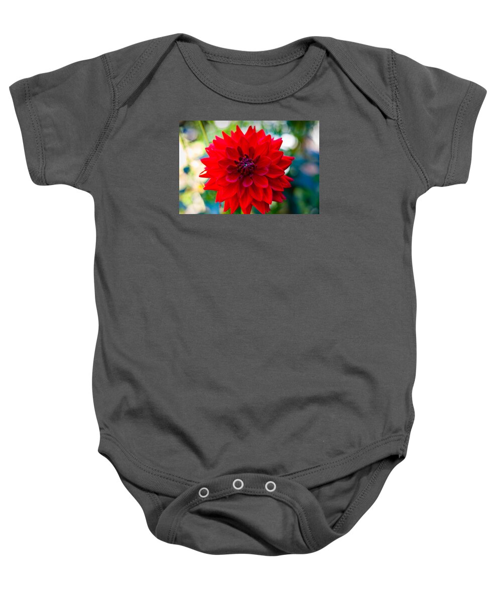 Bellingham Baby Onesie featuring the photograph Power by Judy Wright Lott