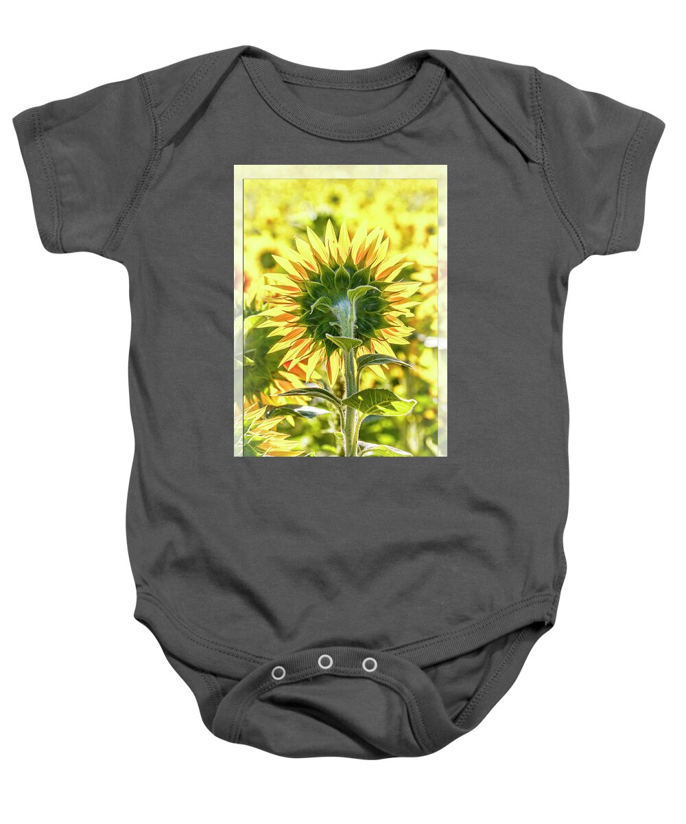 Preaching To The Choir Ii Baby Onesie featuring the photograph Preaching To The Choir II by Wes and Dotty Weber