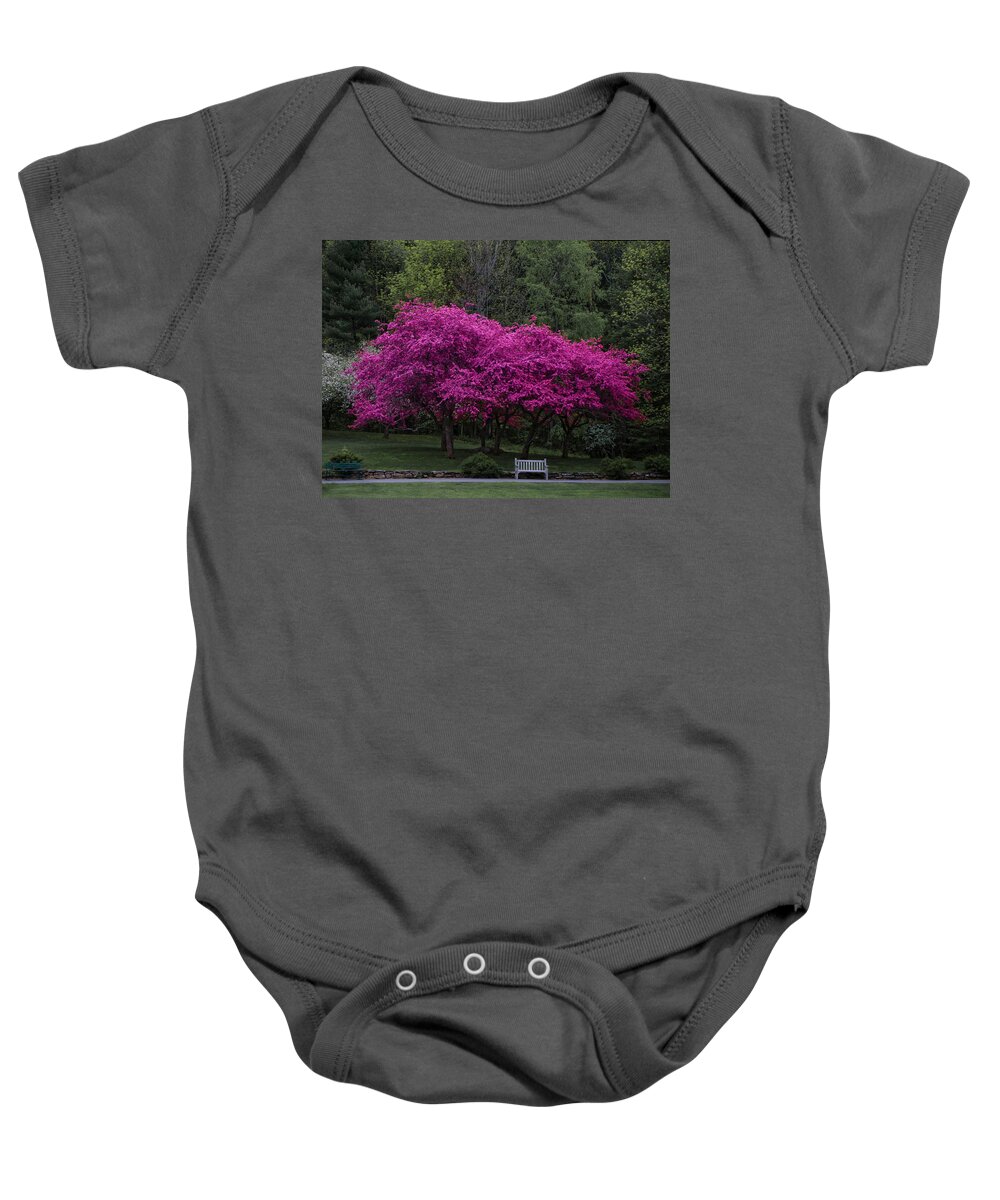 Park Baby Onesie featuring the photograph Pretty In Pink by Jeff Cooper