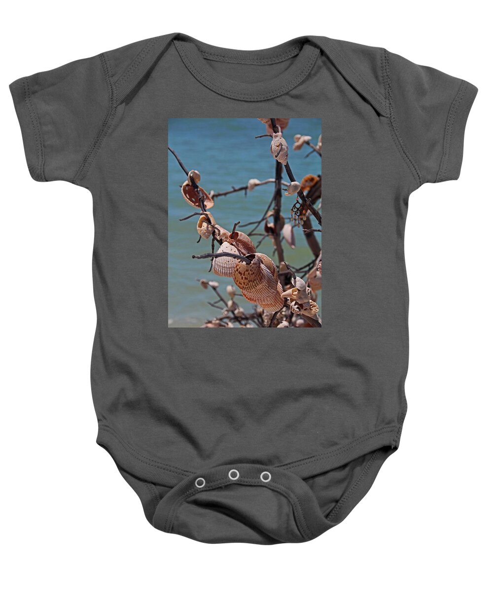 Sea Shells Baby Onesie featuring the photograph Previously Loved Treasures by Michiale Schneider
