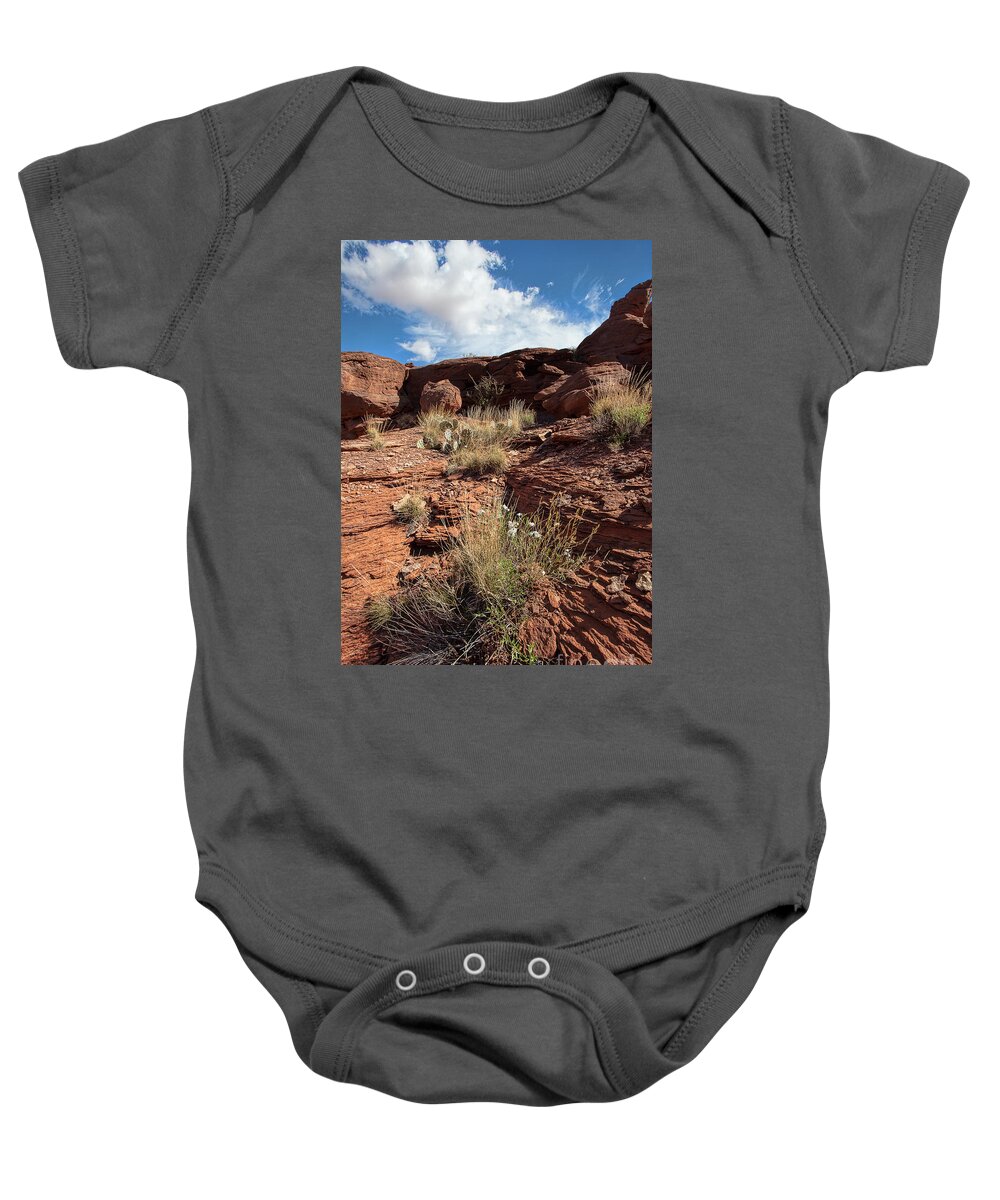 Utah Landscape Baby Onesie featuring the photograph Prickly Pear Slope by Jim Garrison