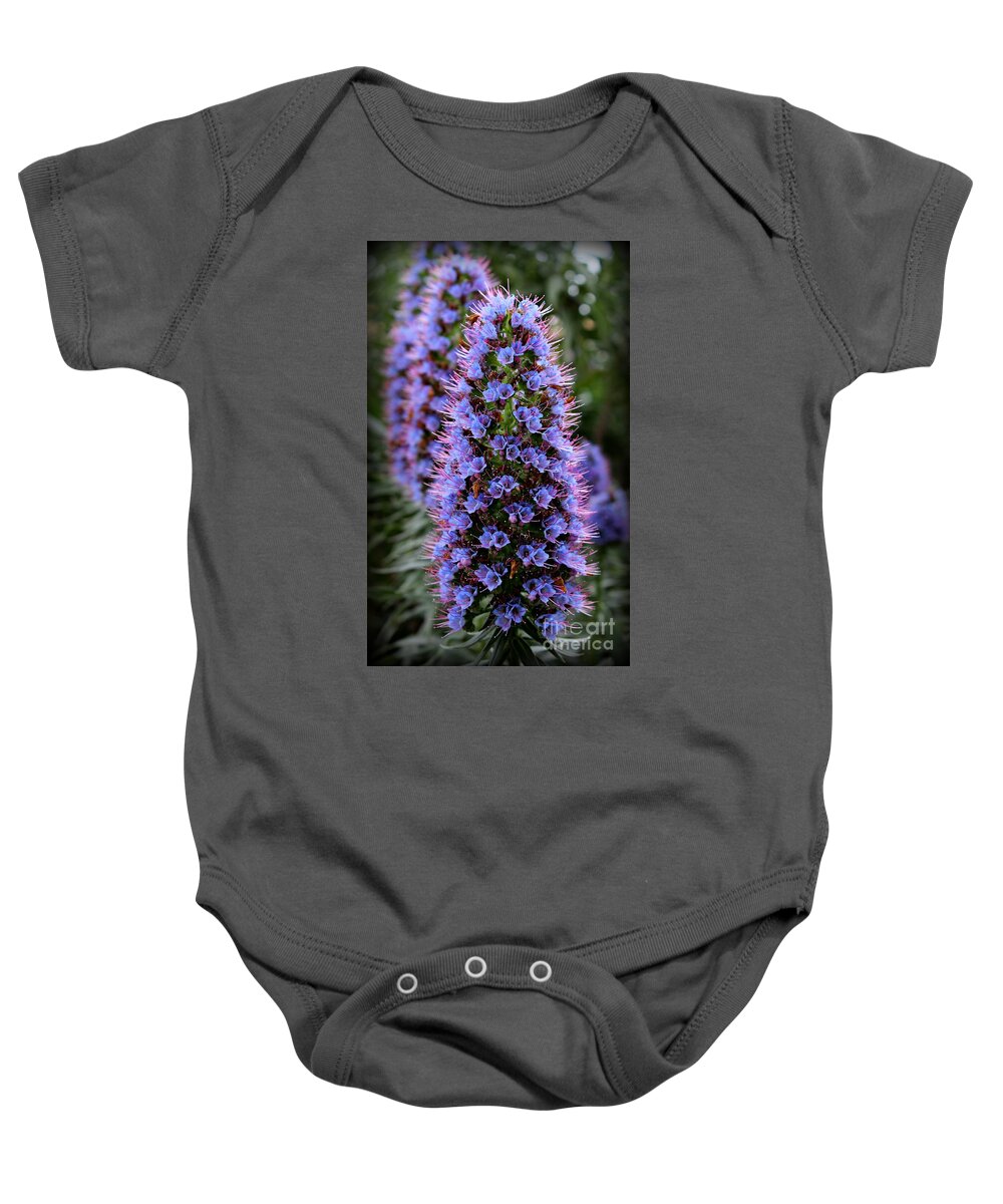 Pride Of Madeira Baby Onesie featuring the photograph Pride by Clare Bevan