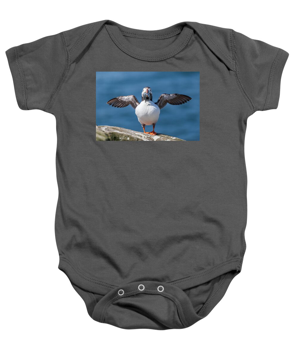 Atlantic Puffin Baby Onesie featuring the photograph Puffin with fish for tea by Anita Nicholson