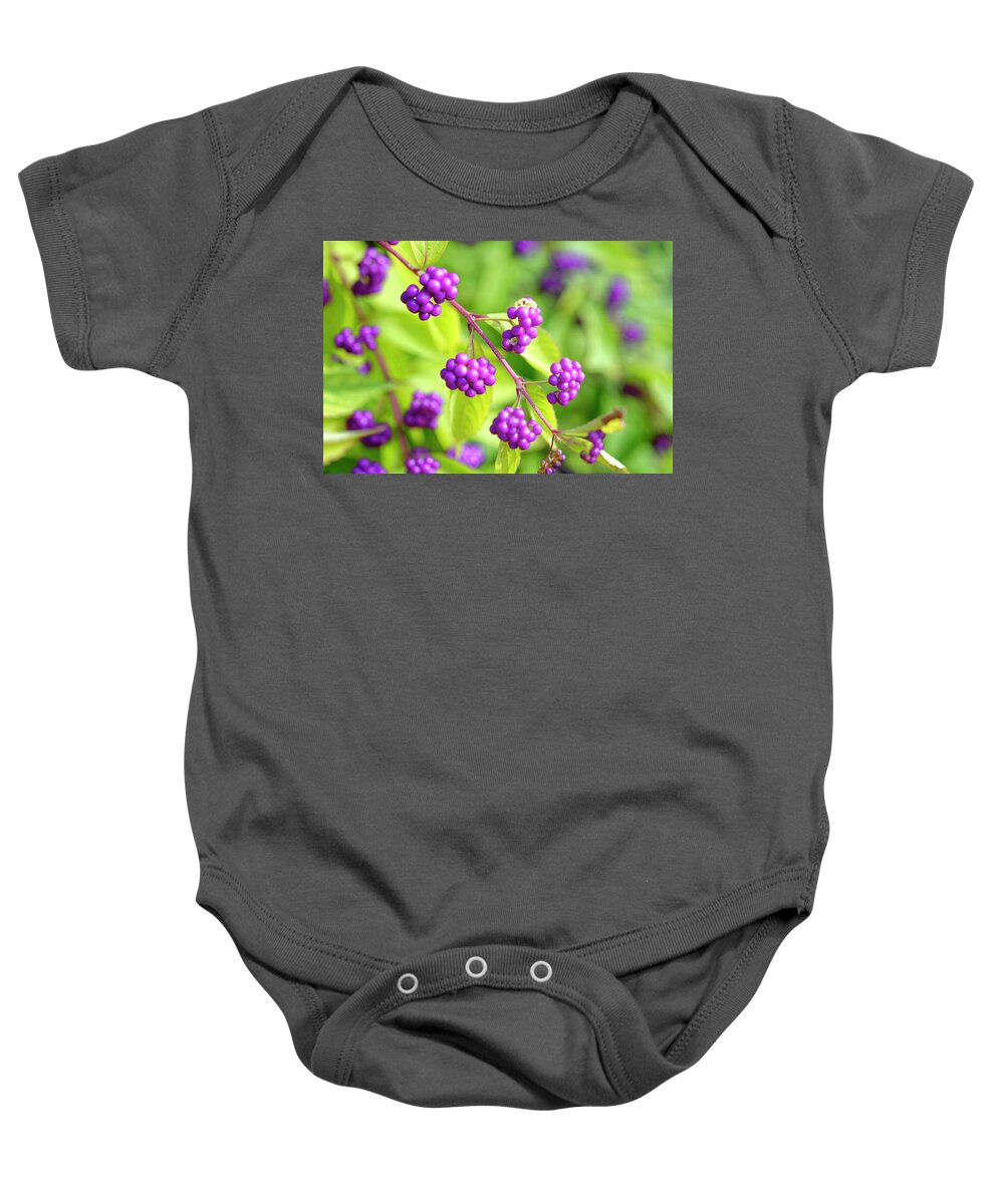 Berries Baby Onesie featuring the photograph Purple berries by Peter Ponzio