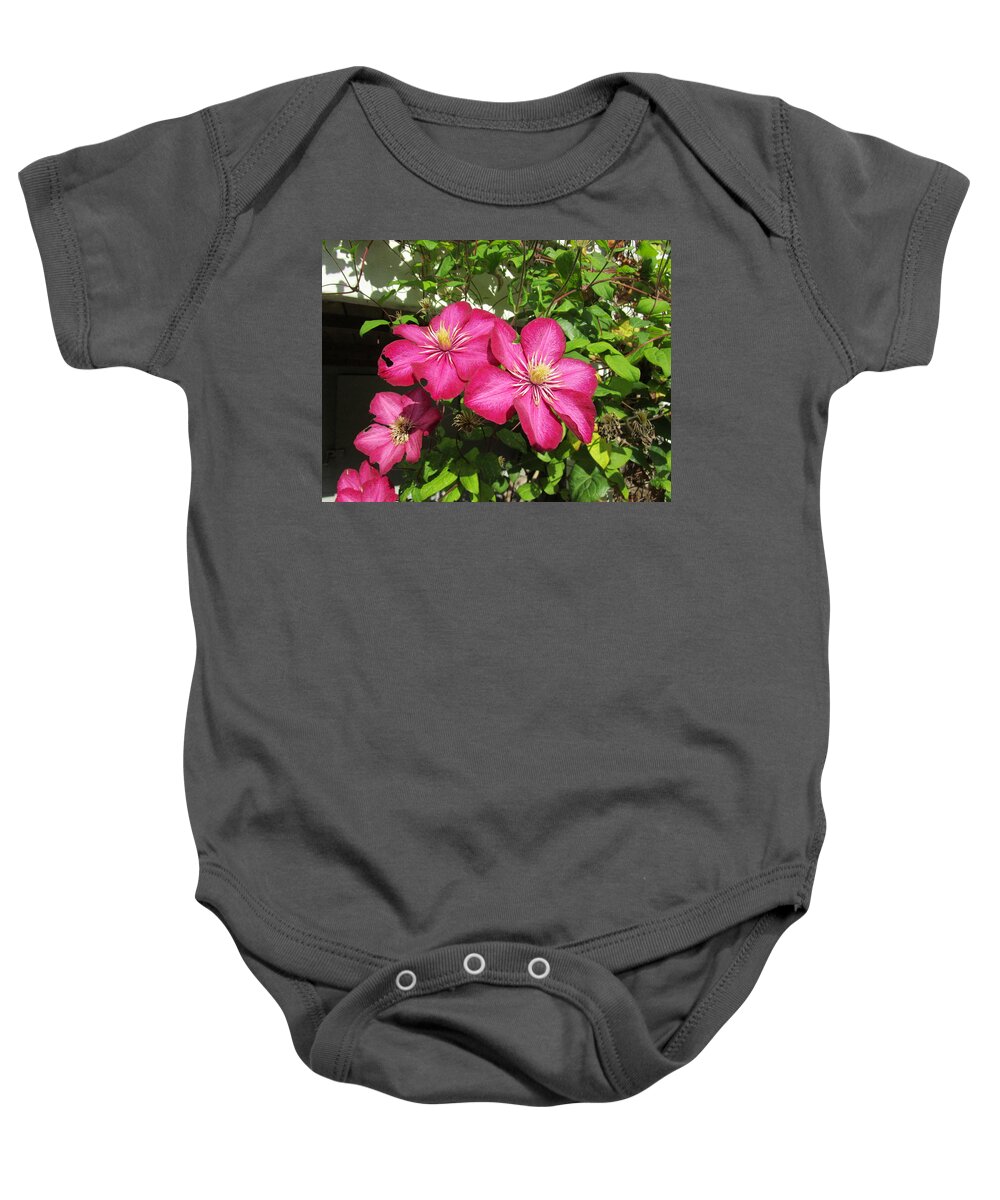 Clematis Baby Onesie featuring the photograph Purple Clematis by Rosita Larsson